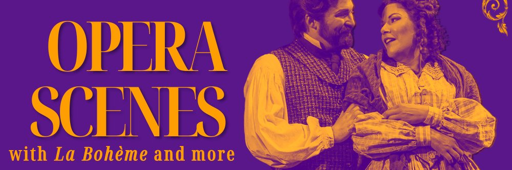 St. Pete Opera banner