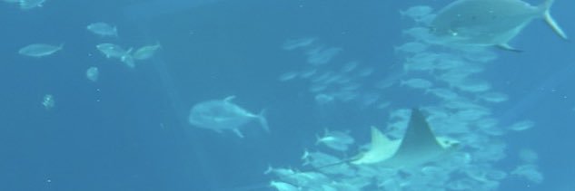 みんと banner