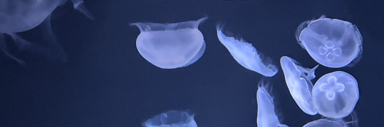 いち🦒¨̮⃝3m🎀 banner