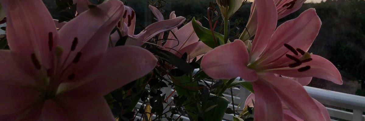 𖤐 banner