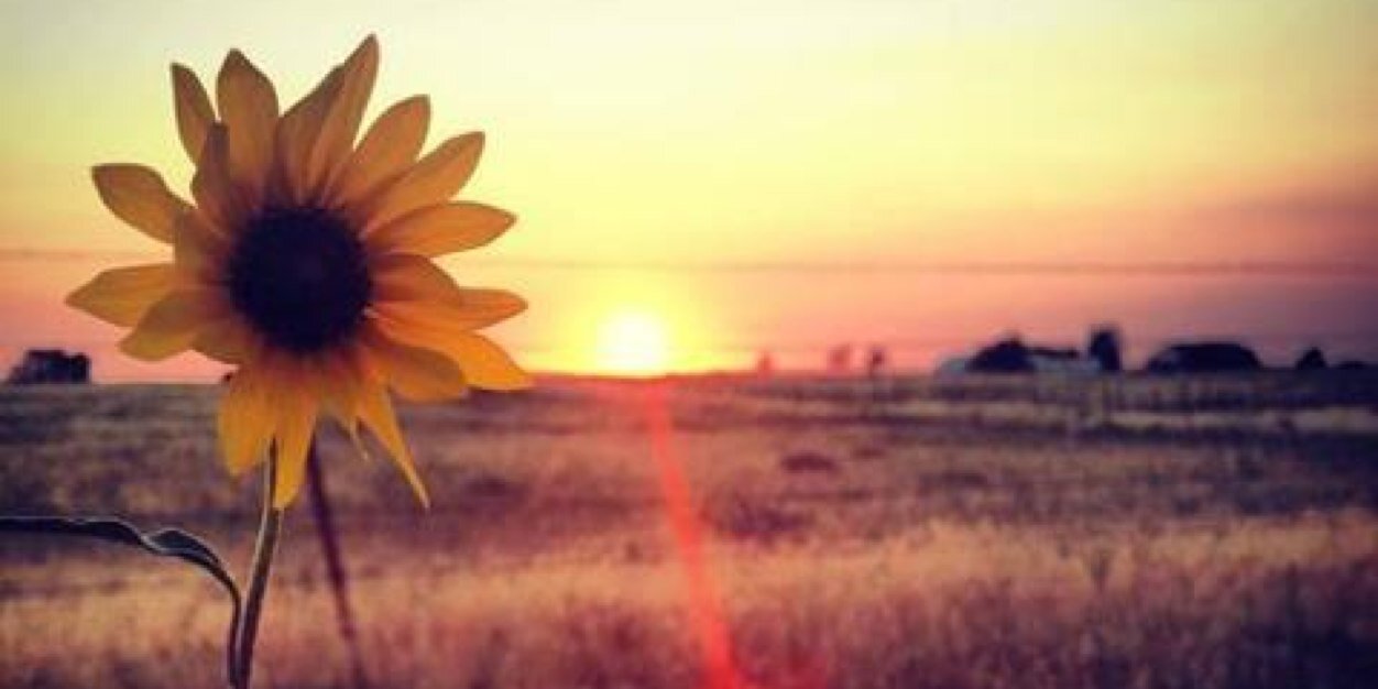 hester_se's profile banner image