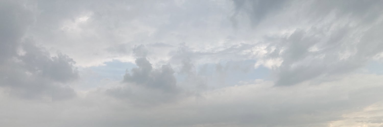 Bárbara Riquelme banner