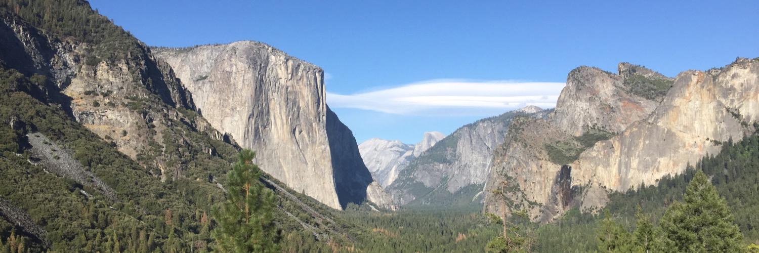 Curtis J Wray, MD banner