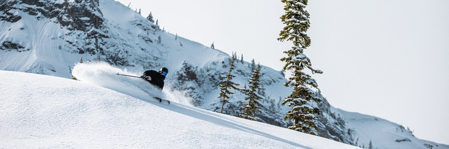 Fernie Alpine Resort banner