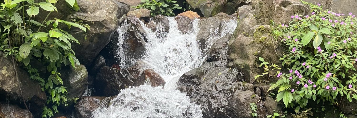 🧚🏻‍♀️ banner