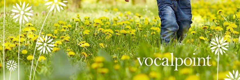 Vocalpoint banner