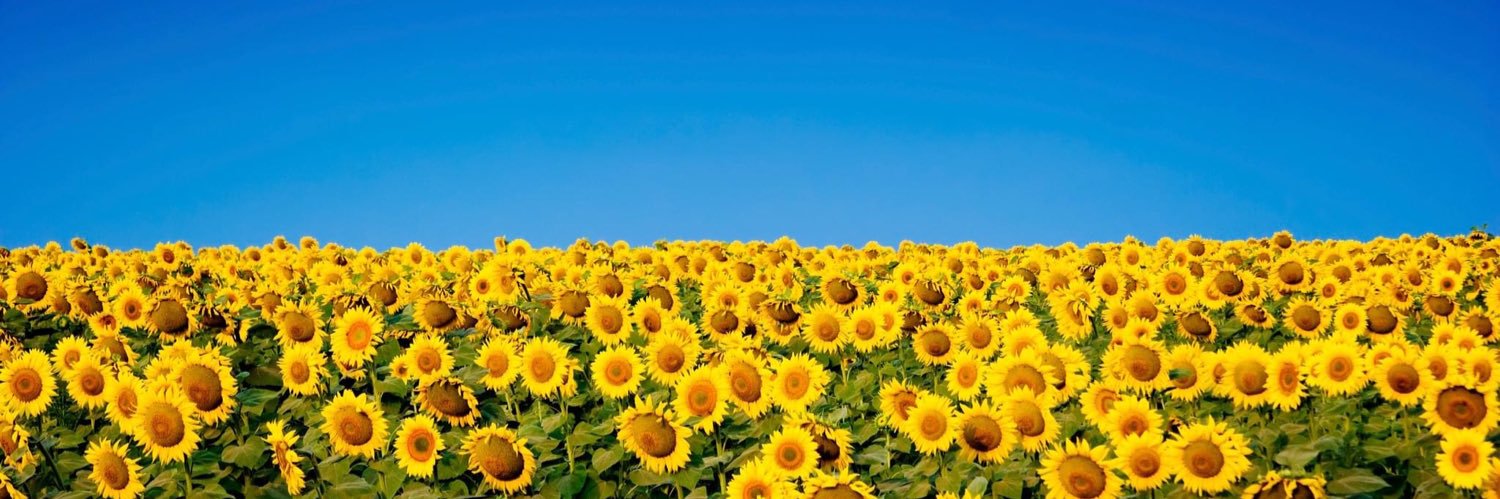 PianoPriest 🇺🇦 banner