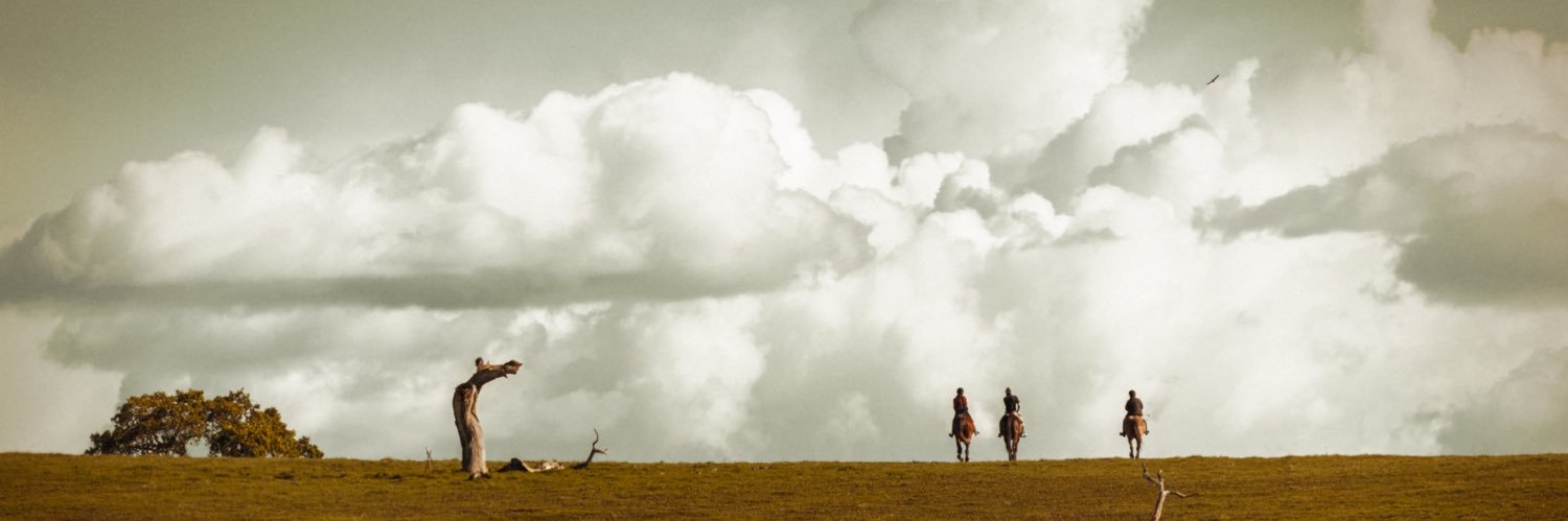 kdo88's profile banner image