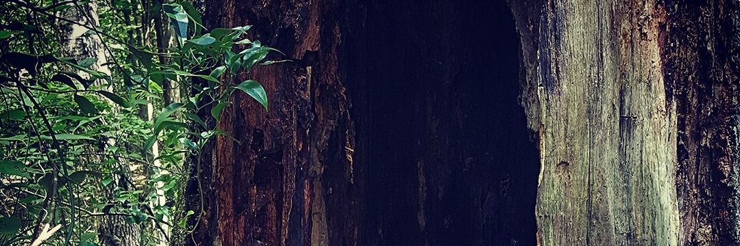 JeremyVanCise's profile banner image