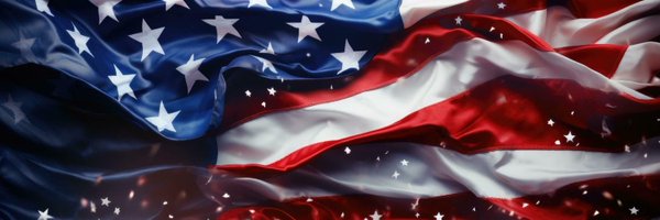 RicVail60802 Profile Banner