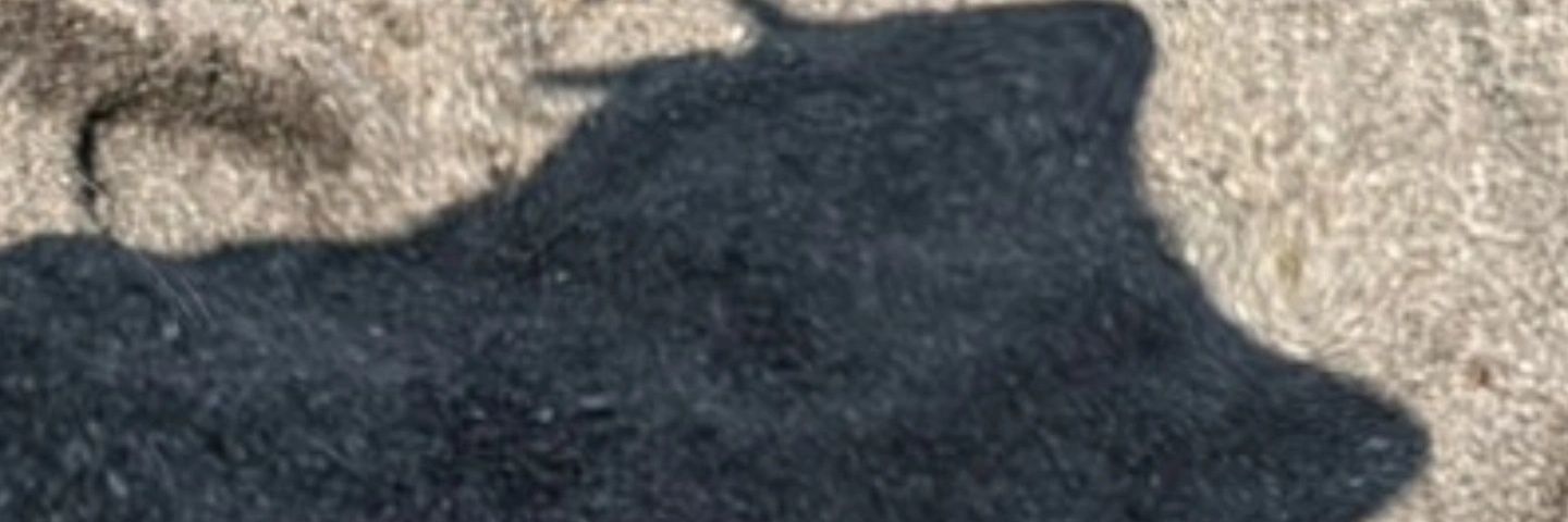 Material_luvMe's profile banner image