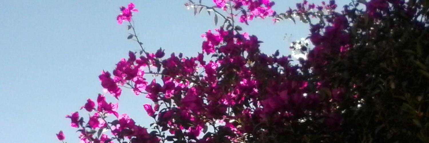 yhkimp's profile banner image