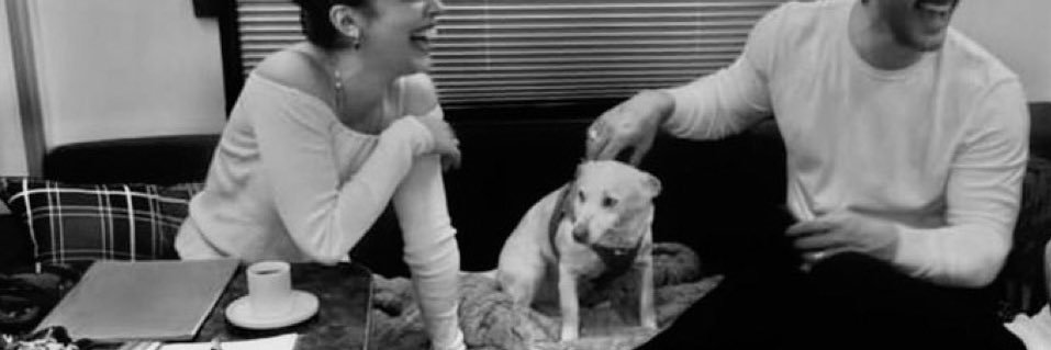 r banner