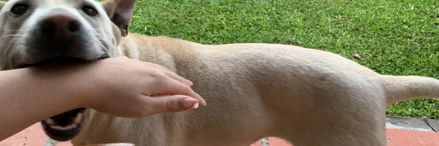 DelfiiBernachin's profile banner image