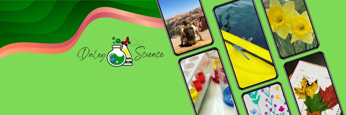 Kristin Daley Conti banner