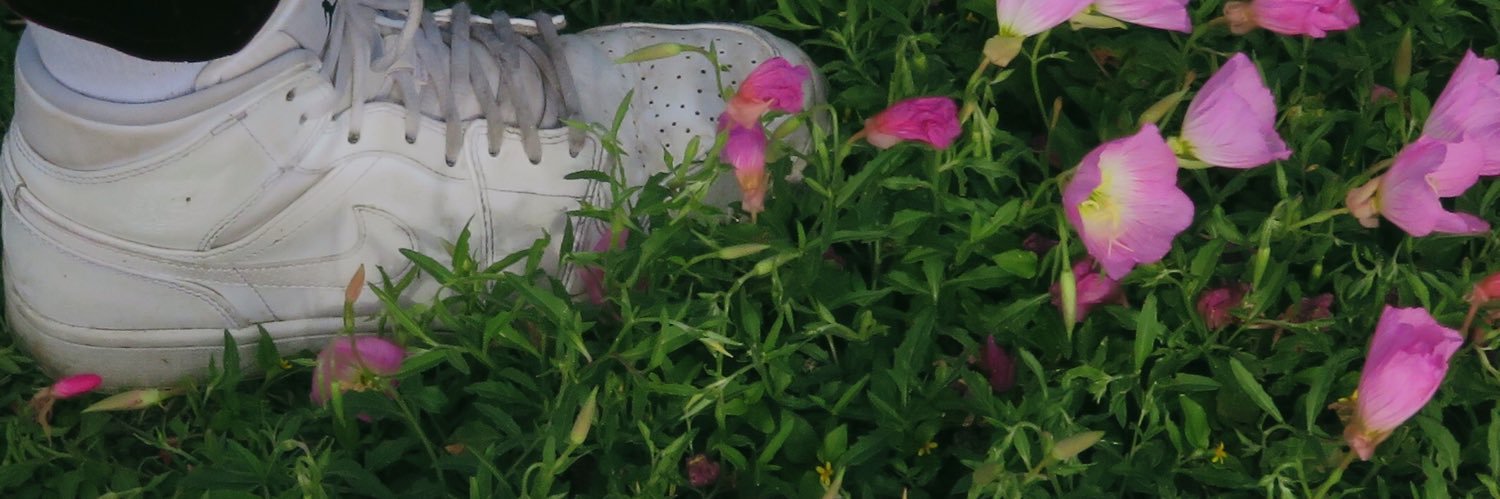 donovanjr's profile banner image