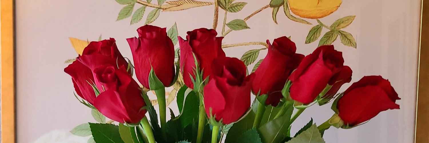 LEX ♥️ ❤️ 🇺🇸 ❤️ 😍 ❤️ 🤍 💙 🇺🇸 banner