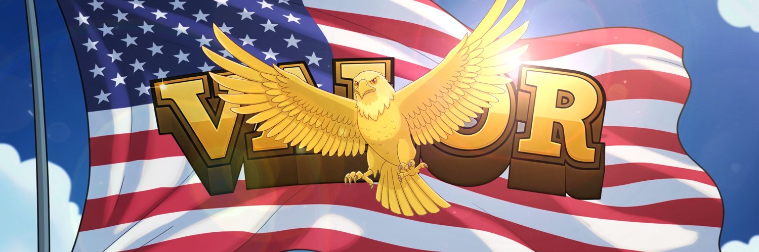 Valor American Eagle banner