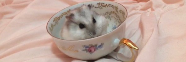 isamassacre Profile Banner