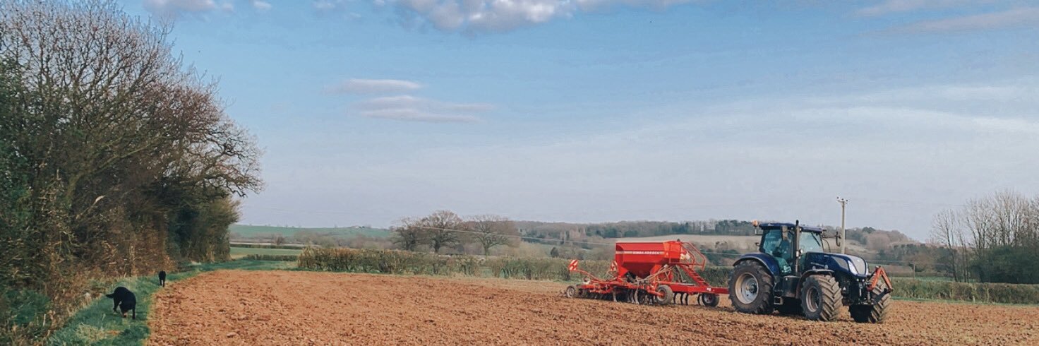 mattarcher03's profile banner image