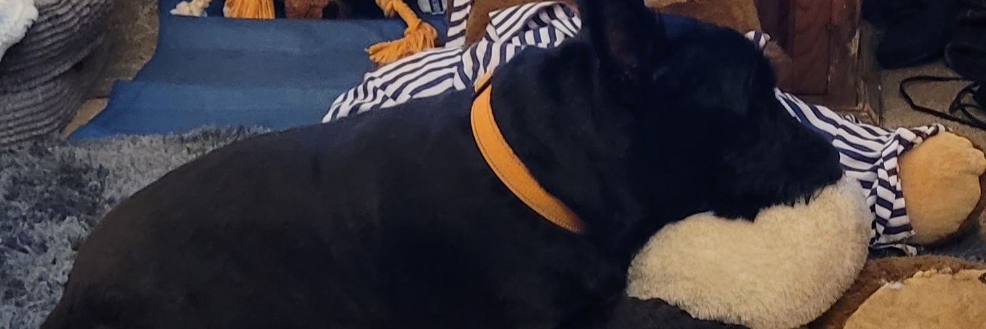 Stephen Djones banner