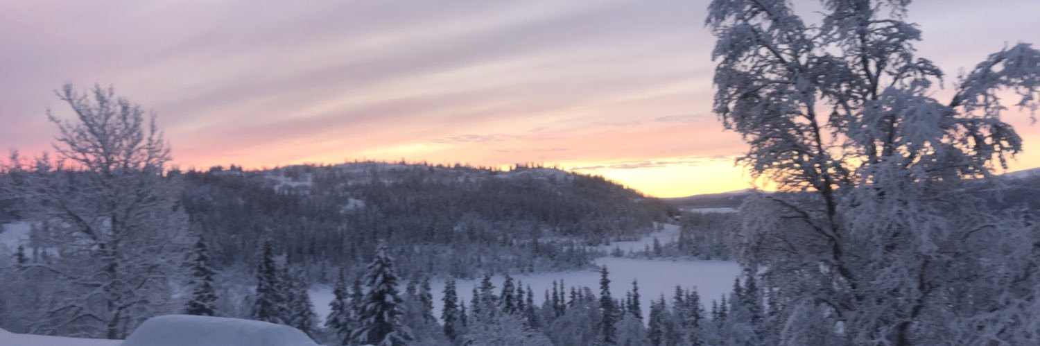 BBorchgre's profile banner image