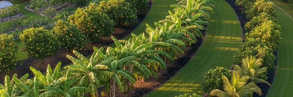 Evans •||The AgroCEO 🌱||• banner