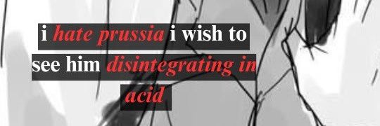 killprussia's profile banner image