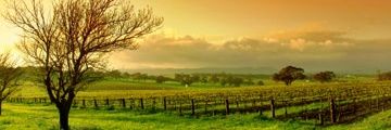mintukumar015's profile banner image