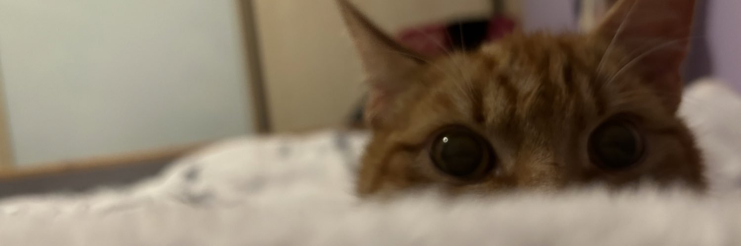 KayTheOutlaw's profile banner image