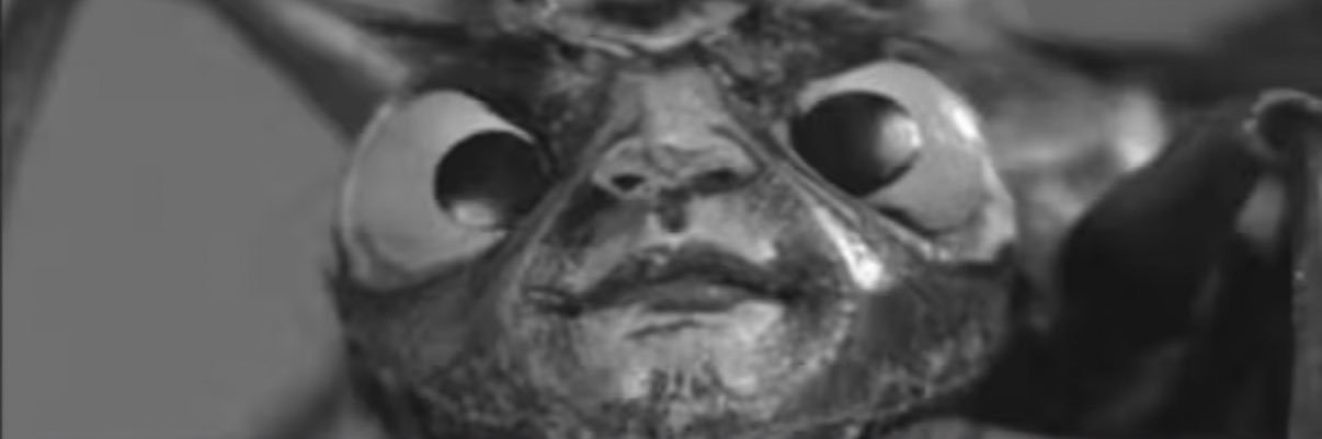 TheHullRemains's profile banner image