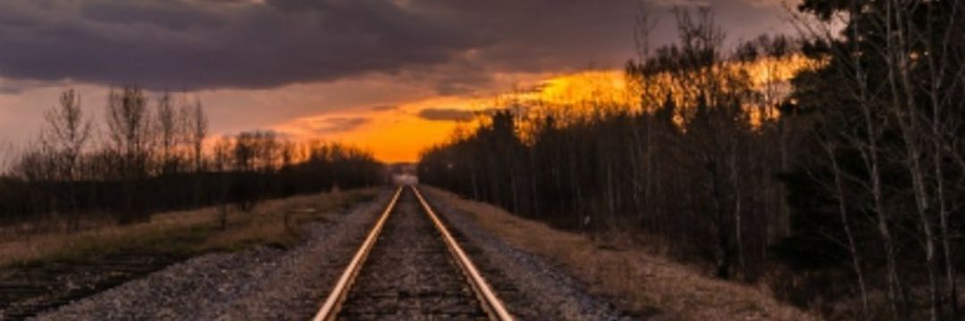 Vickyydani's profile banner image