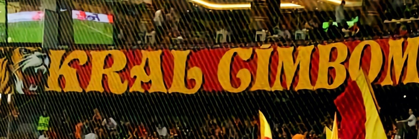 Context of GALA¹⁹⁰⁵ banner
