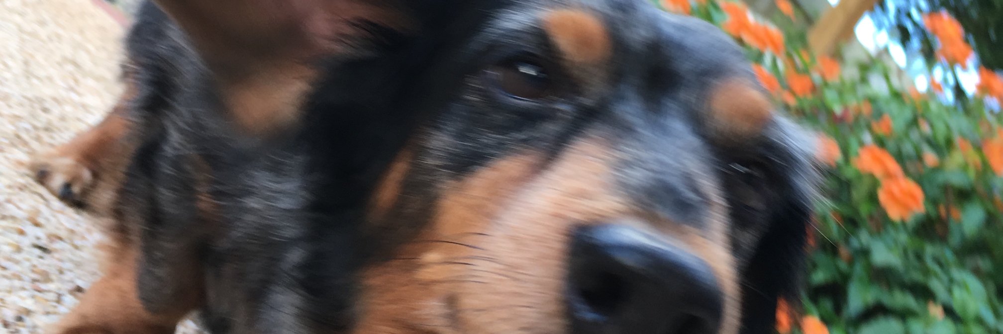 nadja_m's profile banner image