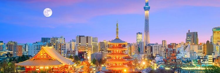 夜蝉 🔆ヨルセミ banner