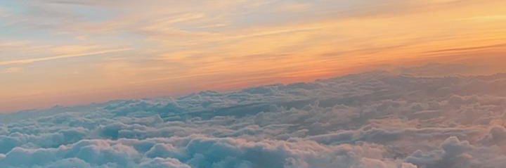 taniabandys's profile banner image