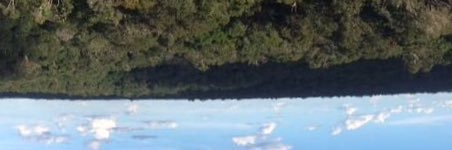 Vitorubem's profile banner image