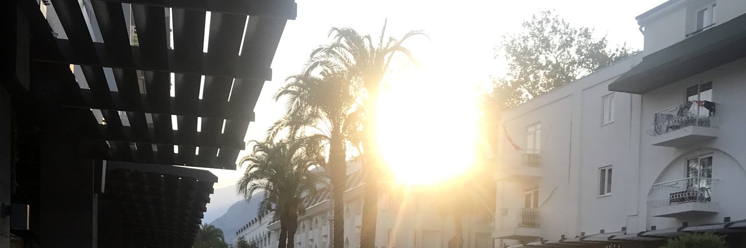 Эля Лин banner