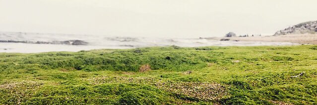 DemersJacob's profile banner image