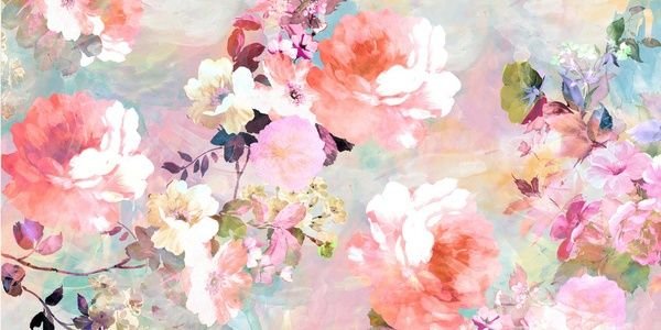 SafieOverboard's profile banner image