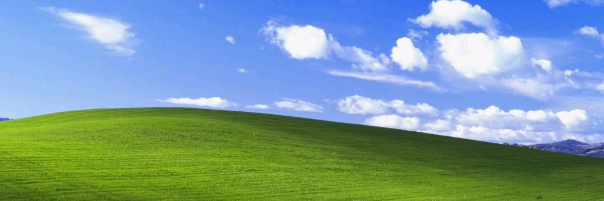 🫀Bucketpup/Fletcher banner