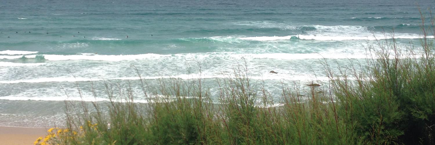 sally christison banner