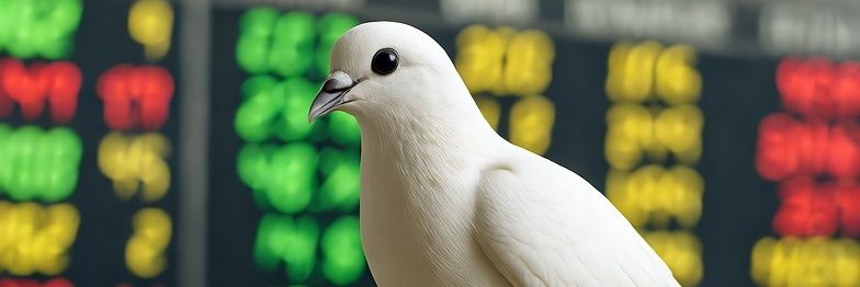 BorsaSc65166's profile banner image