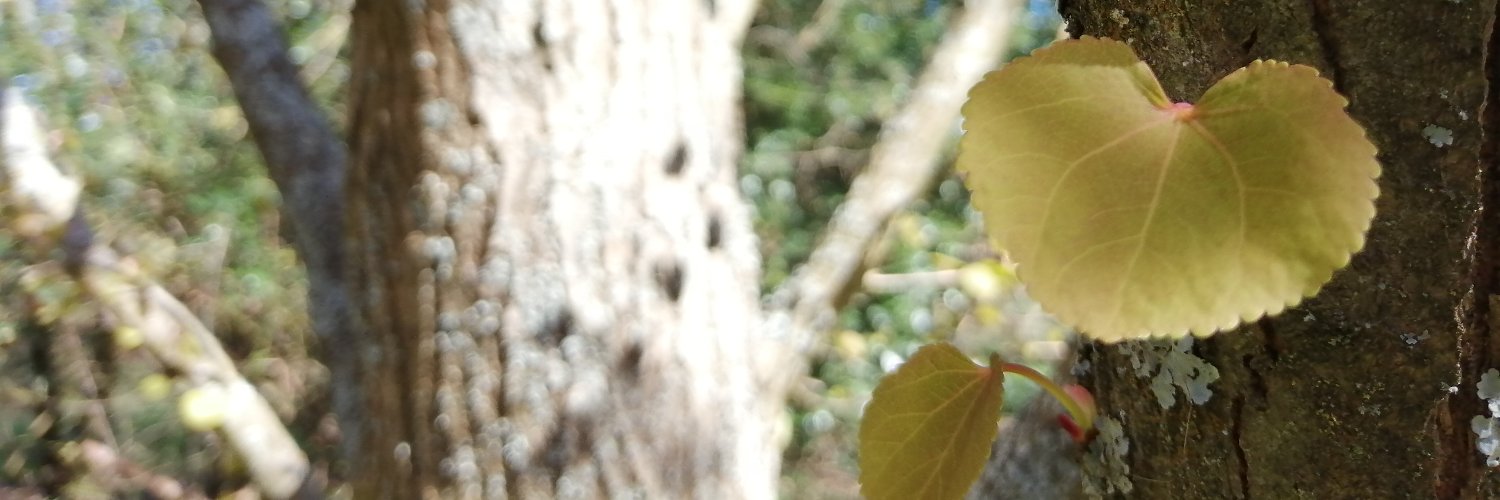 SamPoskitt's profile banner image