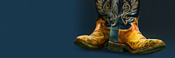 The Boot Profile Banner
