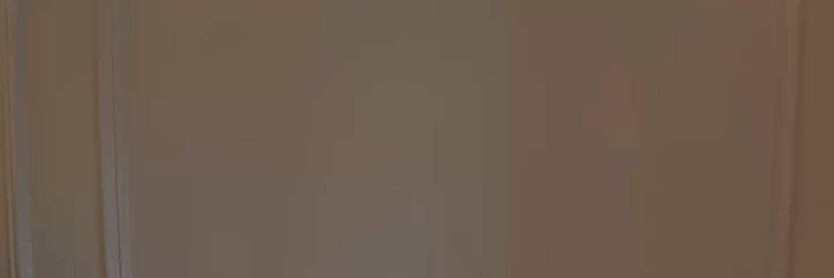 verixsh's profile banner image
