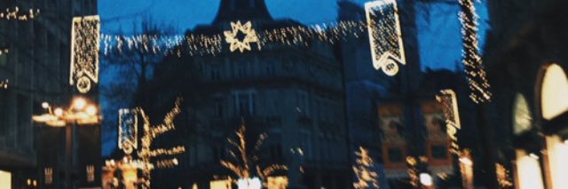 dinalmendariz's profile banner image