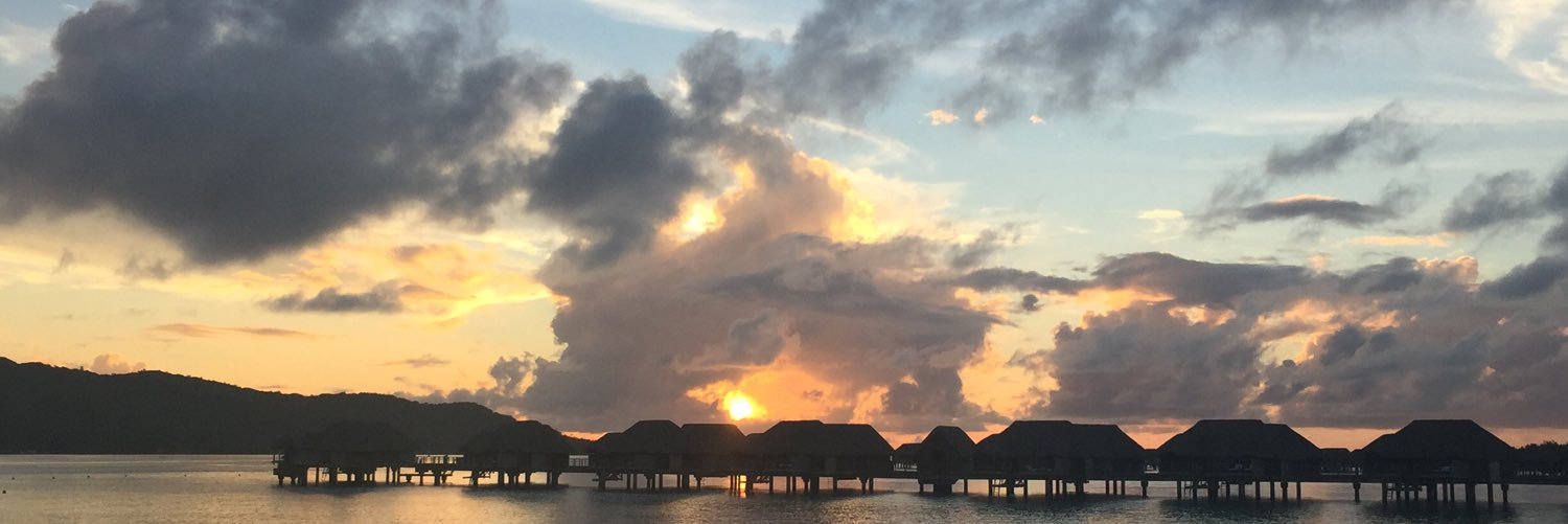 Rebecca Bienstock banner