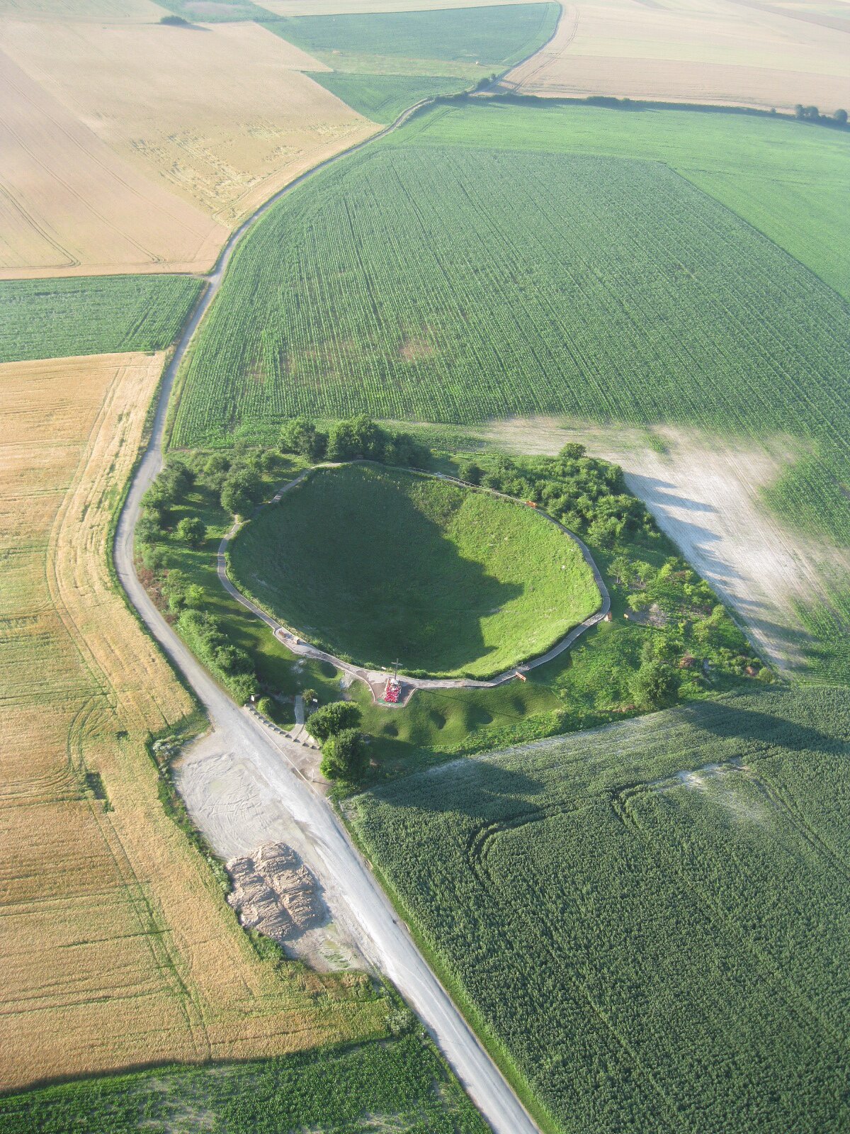 Friends Of Lochnagar banner
