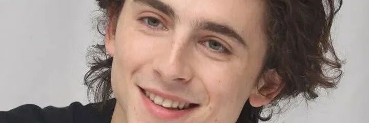 Timothee Chalamet banner